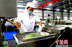 甘肃文县“无人问津”山野菜成民众增收“香饽饽” 甘肃文县“无人问津”山野菜成民众增收“香饽饽”