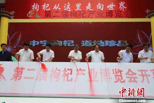 第二届枸杞产业博览会开幕现场。　李佩珊 摄