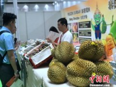 2019世界水果产业博览会开幕