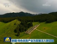 新疆：特色优势产业为发展注入新动能 各族群众共享