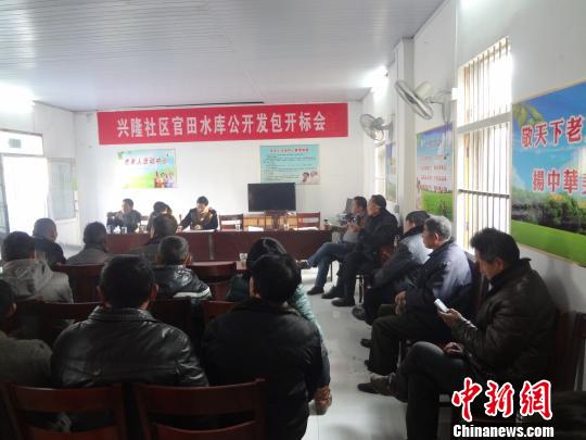 新街镇兴隆社区官田水库公开发包开标会。　钟欣 摄