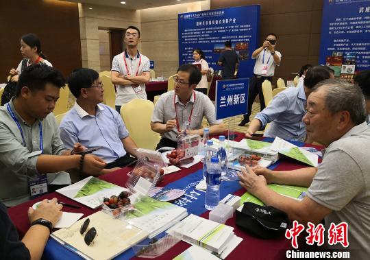 图为兰洽会客商了解甘肃农产品。　刘玉桃 摄
