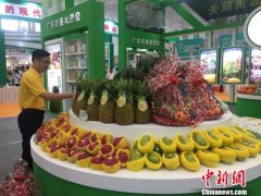 北大荒·首届中国农垦食材交易会在哈尔滨开幕