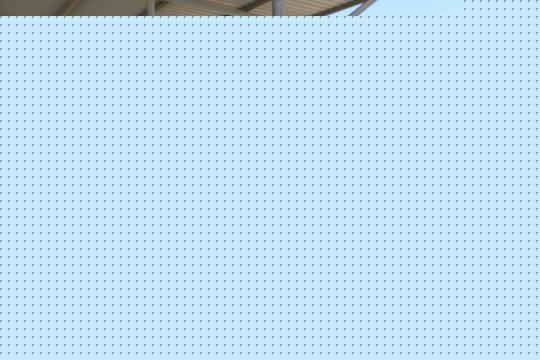 银川海关关员放行检疫合格种羊。　李国浩 摄