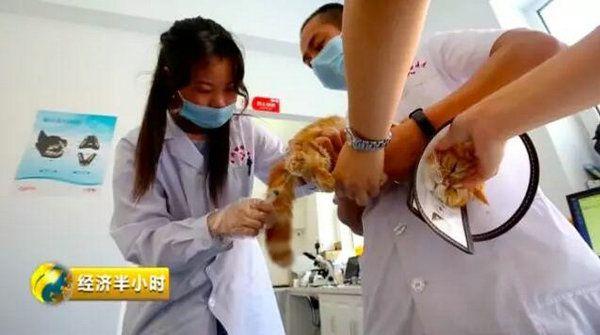 国家拿出1000亿培养你！有人刚毕业年薪就突破20万