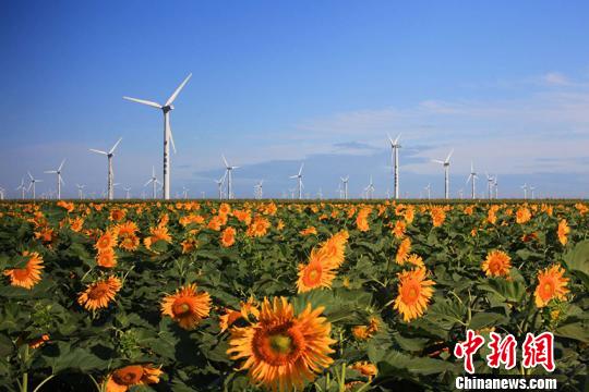 位于中国科尔沁草原与松辽平原接合处的吉林白城风能、光能资源丰富。　潘晟煜 摄