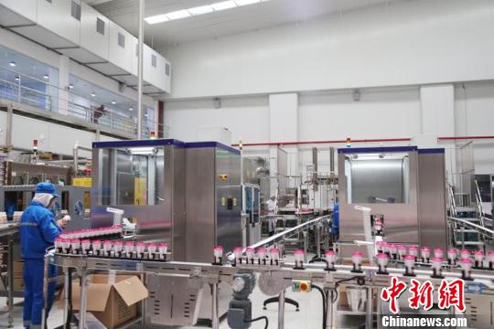 图为蒙牛印尼工厂先进生产线。蒙牛印尼公司 供图