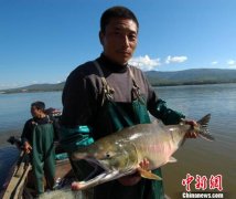 中国北疆边境渔业收入破20亿元
