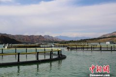 青海出台措施推进渔业养殖向绿色有机发展
