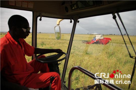 中国和非洲业界人士共同探讨加强水稻产业合作