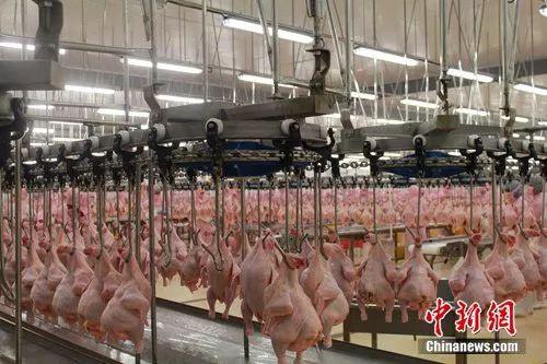 你的吃吃吃买买买，都离不开福建这些“超级小镇”