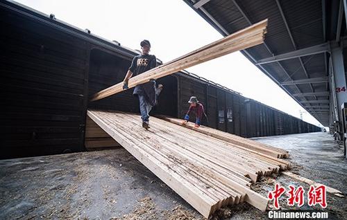 资料图：6月13日，拉萨西站货场装卸工人们正在搬运一批产自俄罗斯的木材。/p中新社记者 何蓬磊 摄