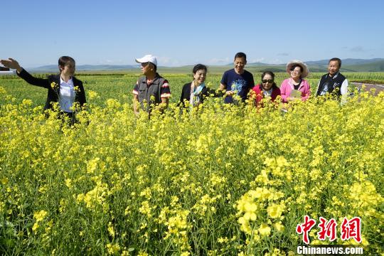 图为游客在油菜花田中游玩。供图