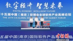 第十五届南京软博会开幕：“数字经济”勾勒“智慧