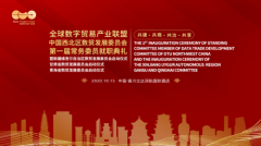 西北区数贸发展委员会助力数字贸易中国方案银川落